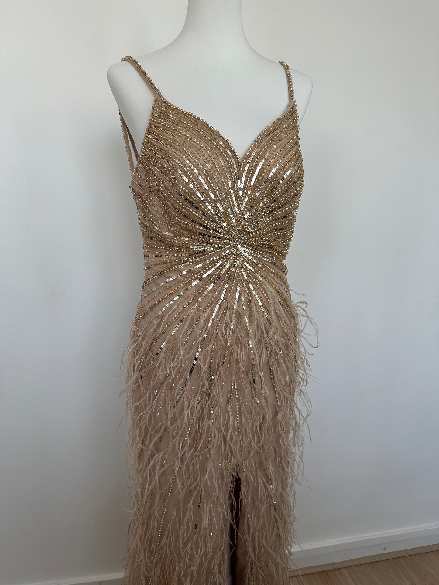 Robe longue à plumes - location