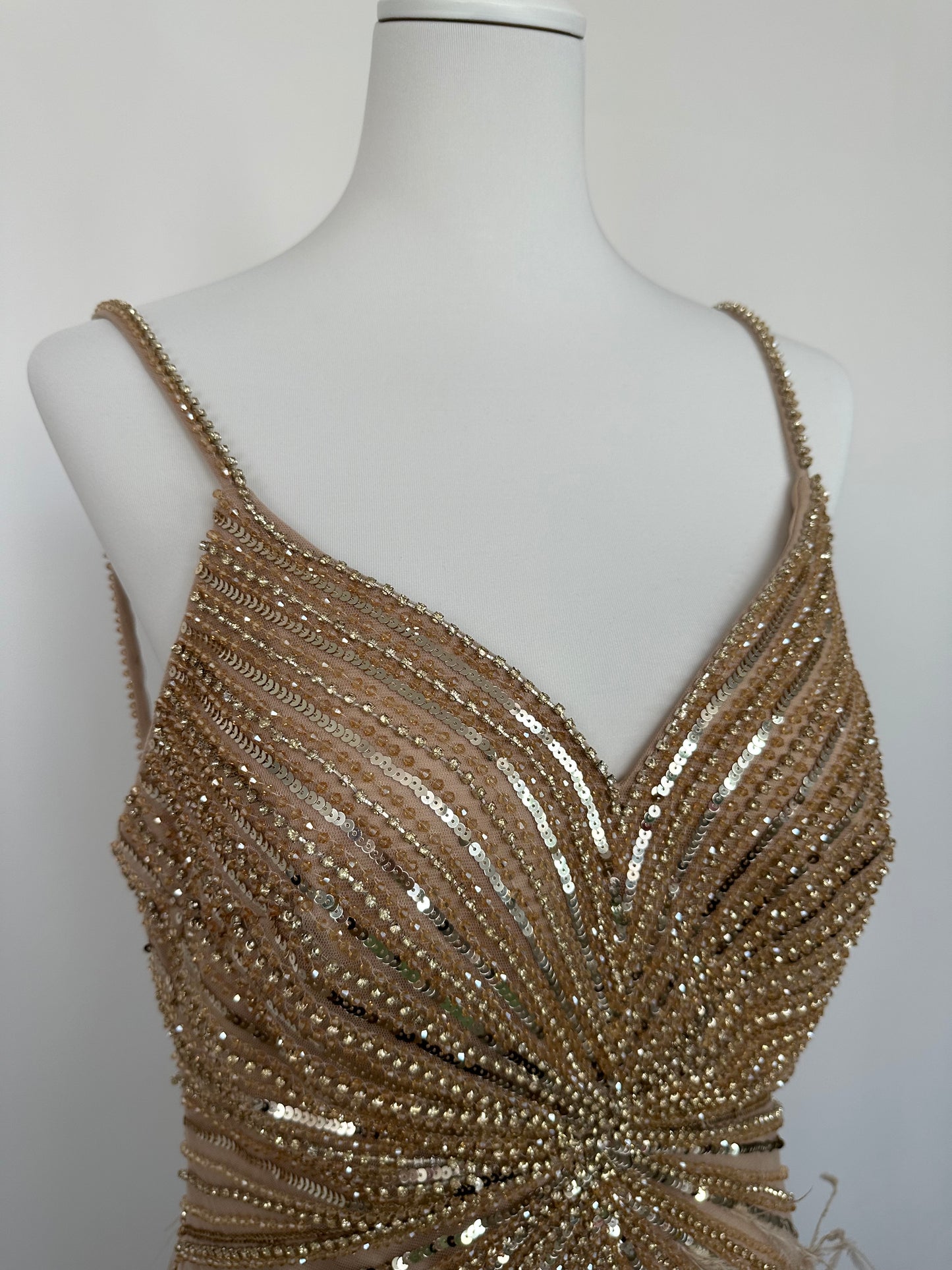 Robe longue à plumes - location