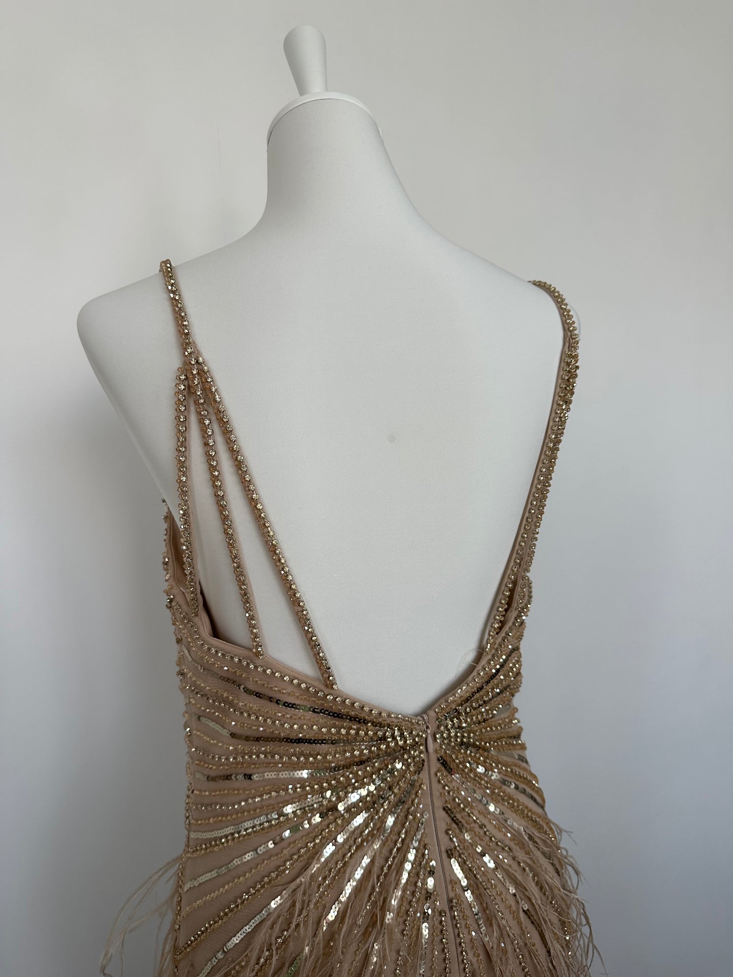 Robe longue à plumes - location