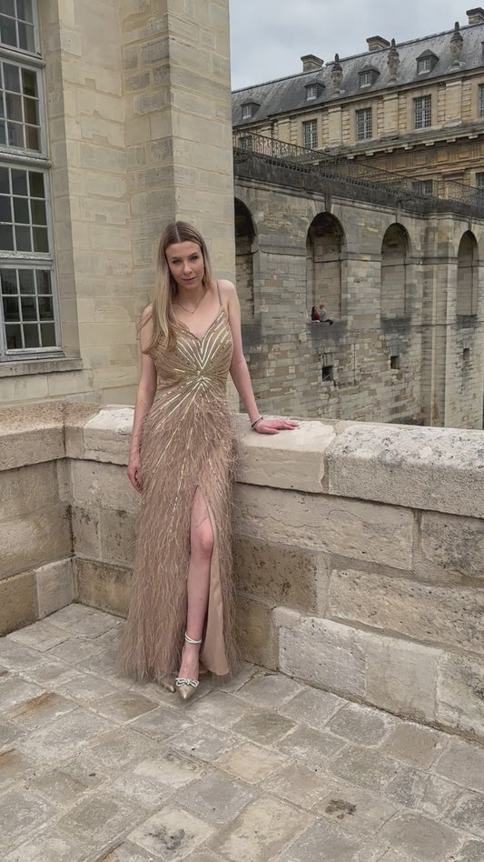 Robe longue à plumes - location